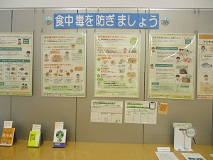 大展示1