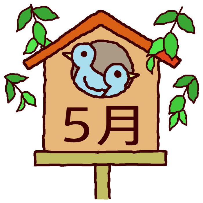 5月