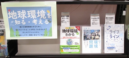 展示の様子の写真