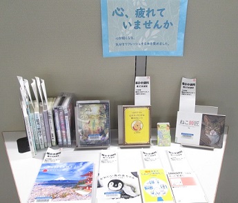 展示の様子の写真