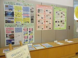 大展示コーナー3