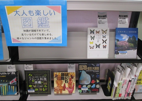 展示の様子の写真 展示の様子の写真