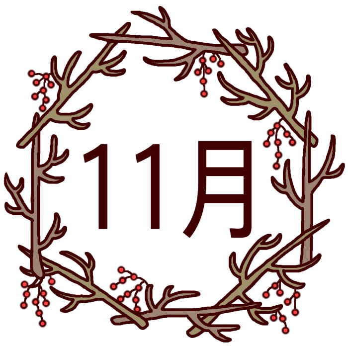 11月 11月