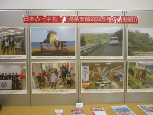 大展示コーナー1