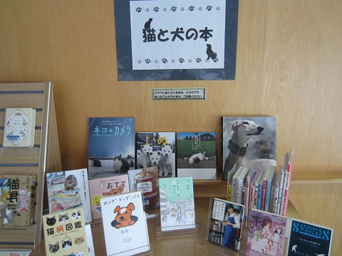 ティーンズテーマ猫と犬 ティーンズテーマ猫と犬