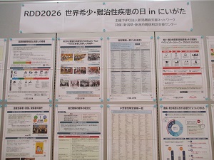 大展示コーナー1