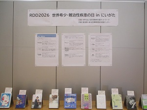 大展示コーナー2