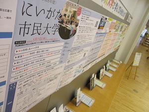 大展示コーナー2