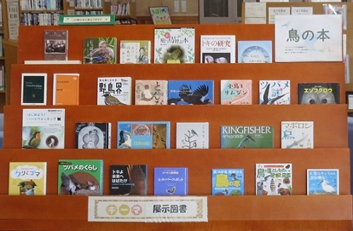 月潟図書館5月一般展示鳥の本