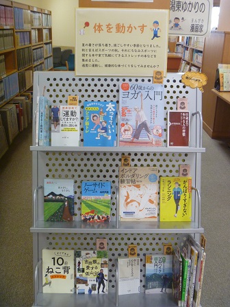 展示の様子の写真