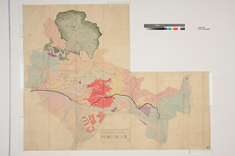 新関村全図