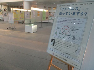 エントランス展示1