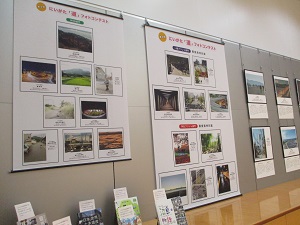 大展示2